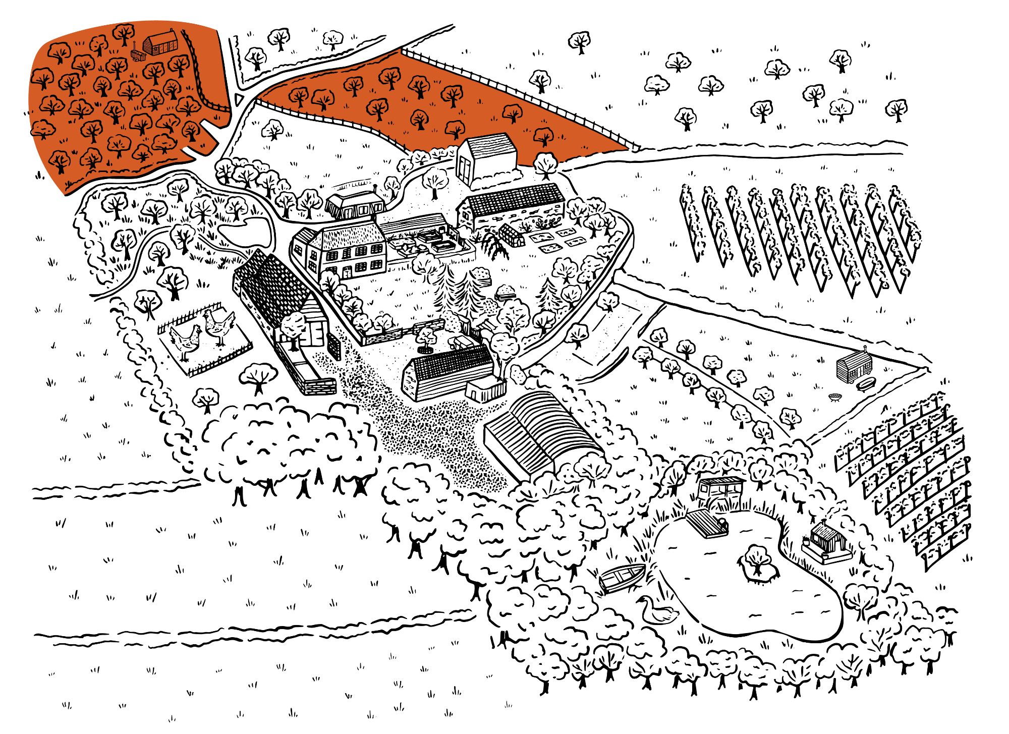 thornfalcon map orchard