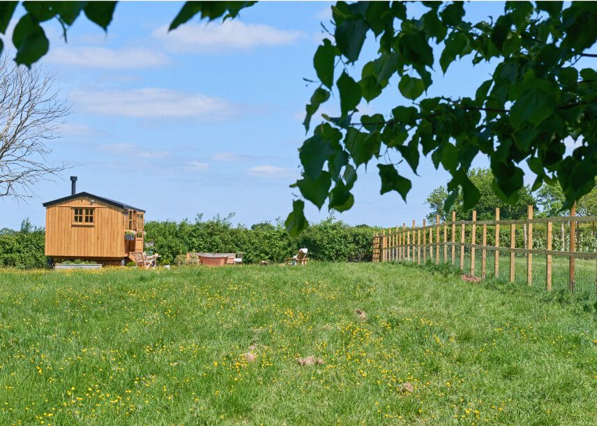 The Vine Hut - Wide View.jpg