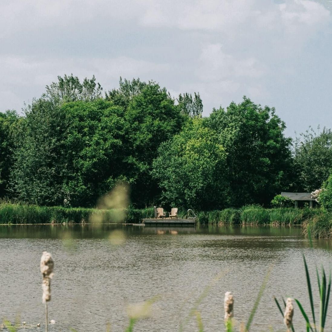 wild-life-lake.jpg